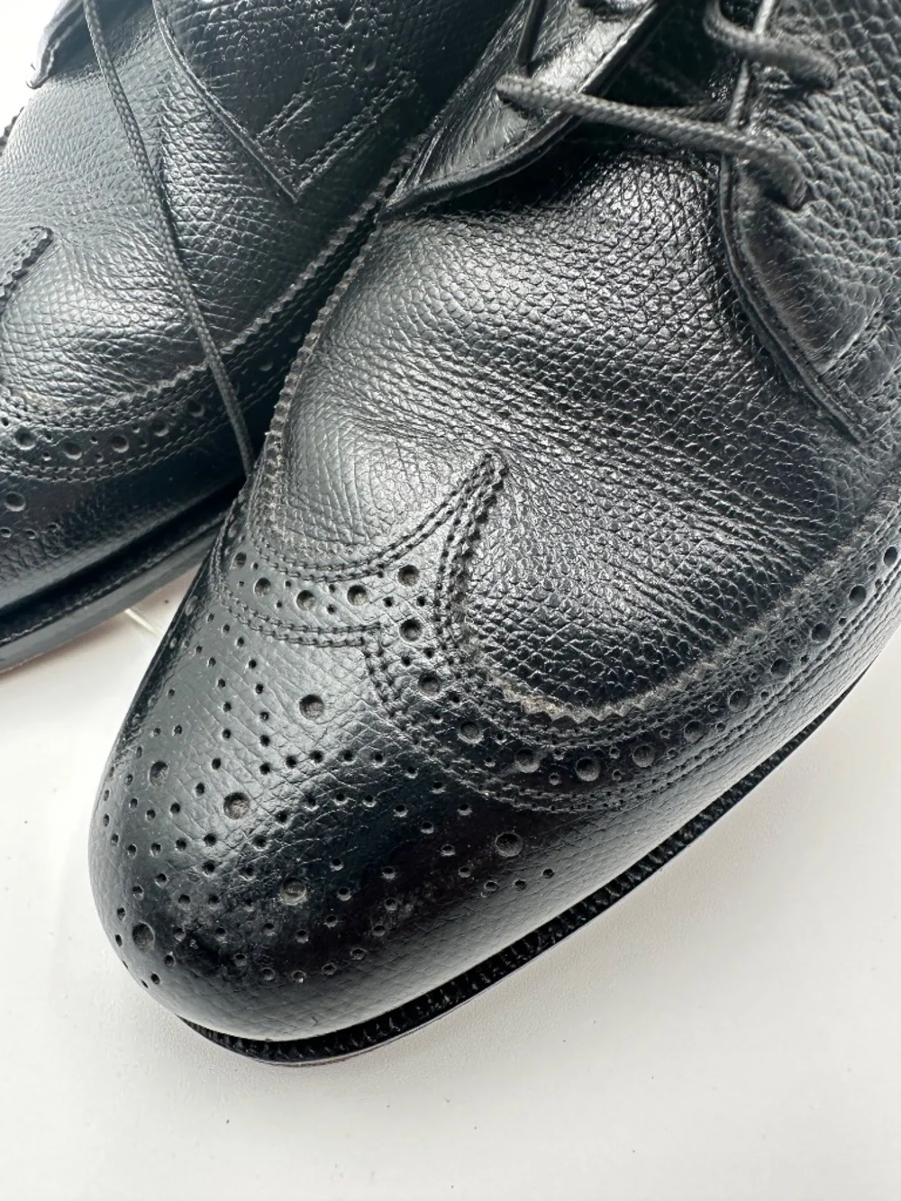 Florsheim GIOTTO Wingtip Oxford